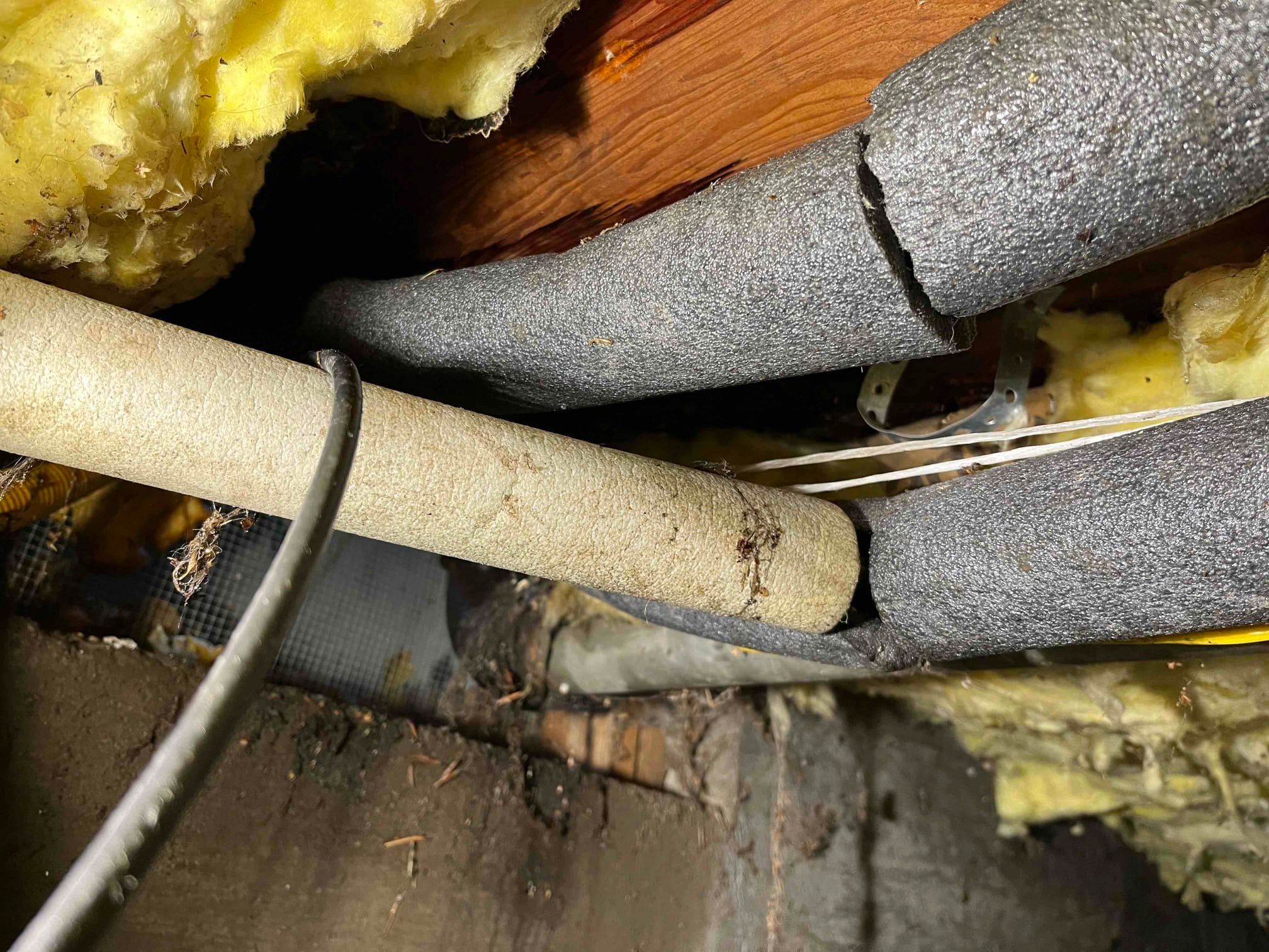 Pipe Repair - Cornels - 14271 NW Science Park Dr - (503) 558-2045 - 45°31'46.45N, 122°49'37.46W