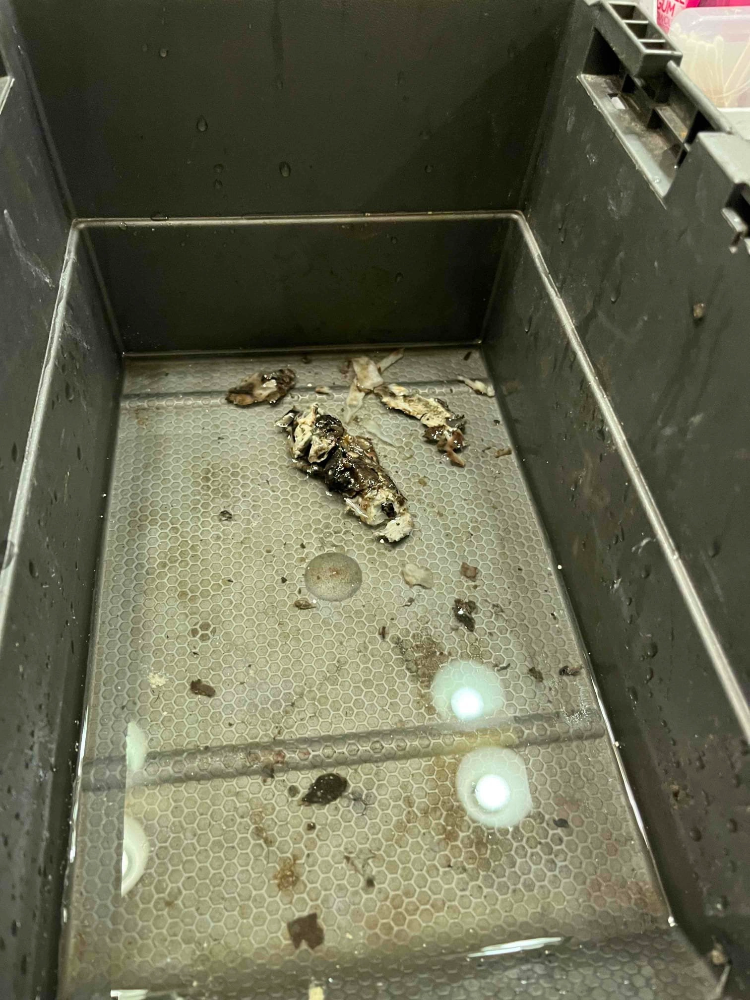 Pipe Repair - Cornel's Plumbing - 14271 NW Science Park Dr - +1 (503) 558-2045 - 45°31'46.45N, 122°49'37.46W